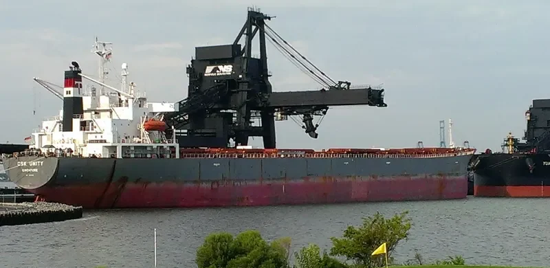THE CREATOR Bulk Carrier IMO 9077226 photo 6