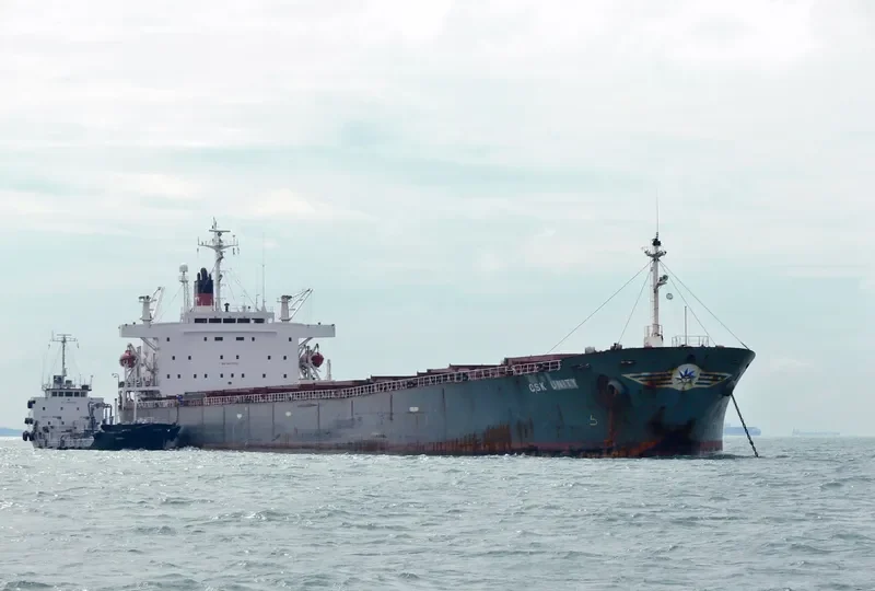 THE CREATOR Bulk Carrier IMO 9077226 photo 9
