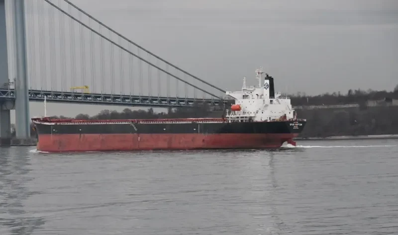 SPAR NEPTUN Bulk Carrier IMO 9077238 photo 2