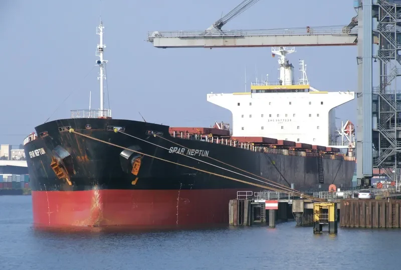 SPAR NEPTUN Bulk Carrier IMO 9077238 photo 6