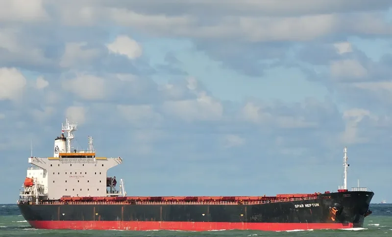 SPAR NEPTUN Bulk Carrier IMO 9077238 photo 7
