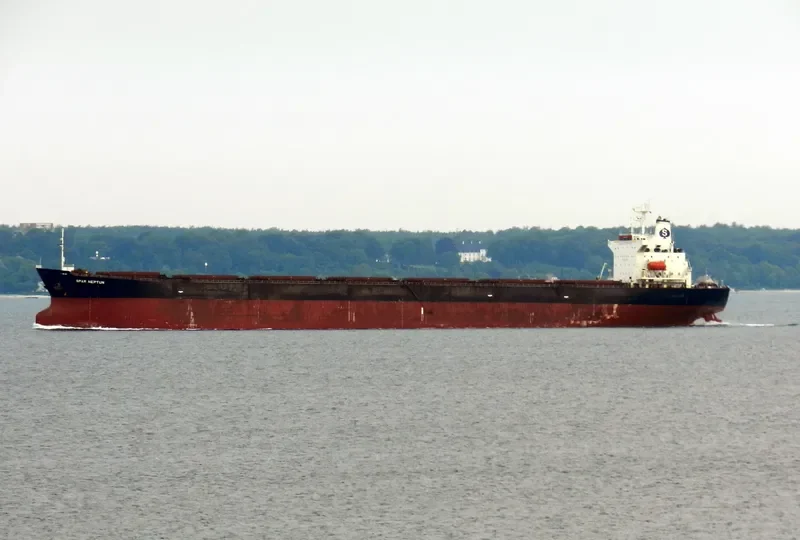 SPAR NEPTUN Bulk Carrier IMO 9077238 photo 8