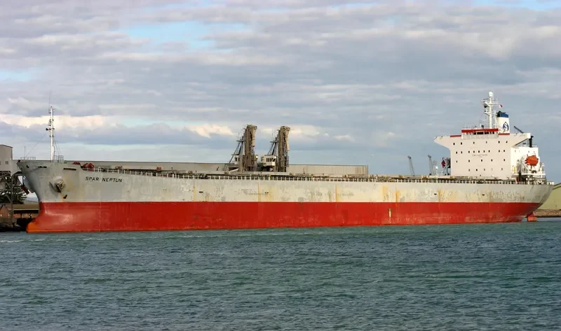 SPAR NEPTUN Bulk Carrier IMO 9077238 photo 9