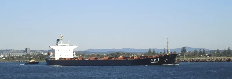 YUE DIAN 2 Bulk Carrier IMO 9077240