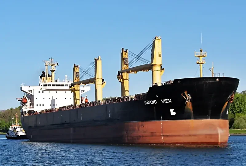 CROWN VICTORY Bulk Carrier IMO 9077252 photo 2