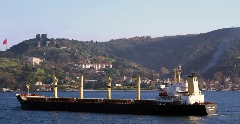 CROWN VICTORY Bulk Carrier IMO 9077252 photo 3