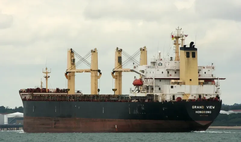 CROWN VICTORY Bulk Carrier IMO 9077252 photo 4