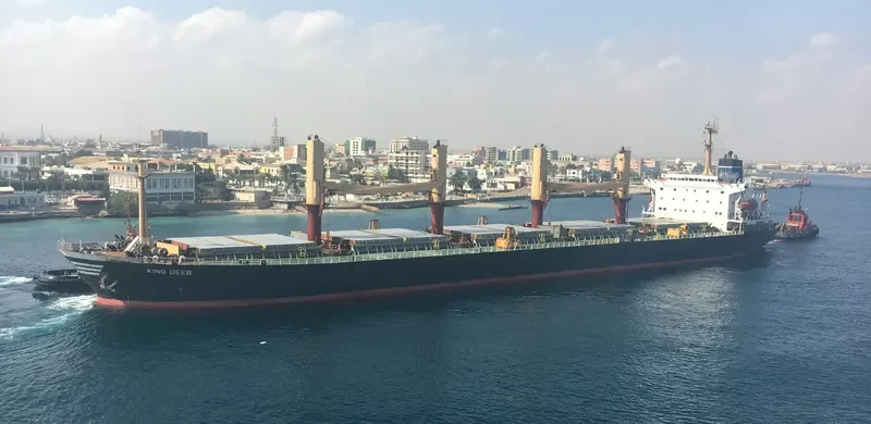 TATIANA P Bulk Carrier IMO 9077305 photo 2