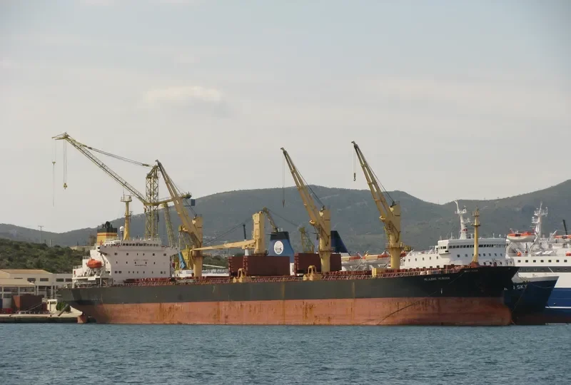 TATIANA P Bulk Carrier IMO 9077305 photo 3