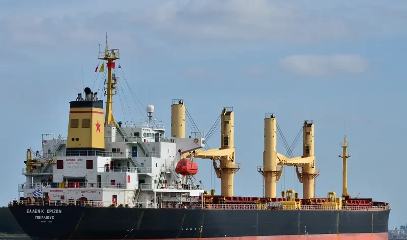TATIANA P Bulk Carrier IMO 9077305 photo 4