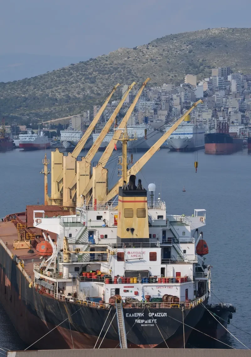 TATIANA P Bulk Carrier IMO 9077305 photo 5
