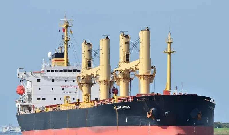 TATIANA P Bulk Carrier IMO 9077305 photo 6
