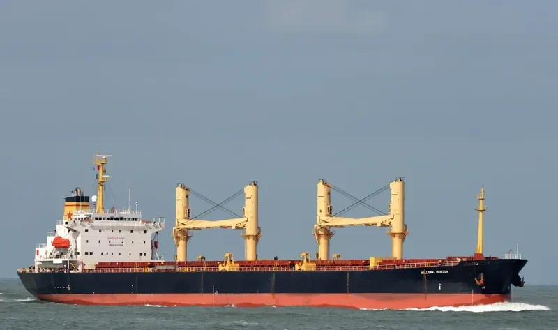 TATIANA P Bulk Carrier IMO 9077305 photo 7