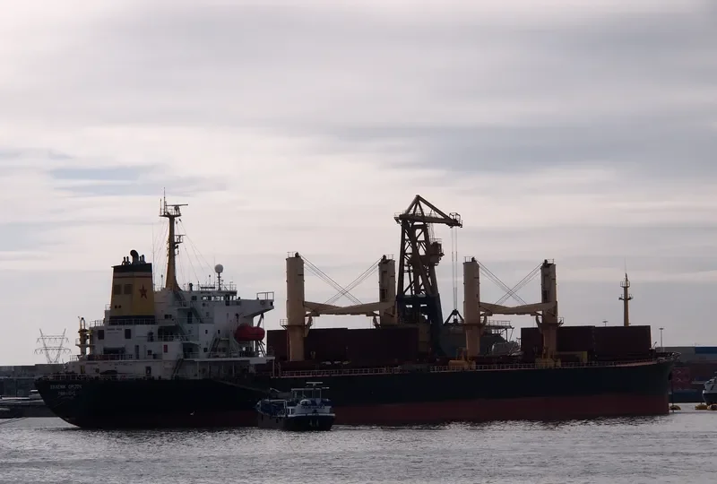 TATIANA P Bulk Carrier IMO 9077305 photo 8