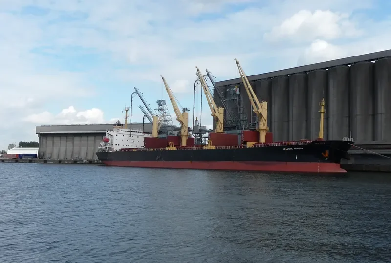 TATIANA P Bulk Carrier IMO 9077305 photo 10