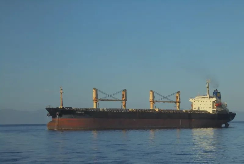 OXANA V Bulk Carrier IMO 9077317 photo 2