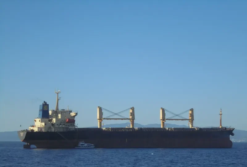 OXANA V Bulk Carrier IMO 9077317 photo 3