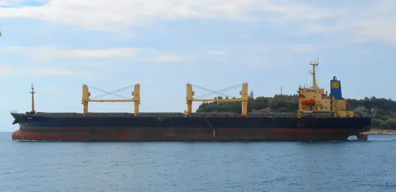 OXANA V Bulk Carrier IMO 9077317 photo 4