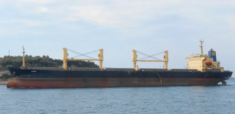 OXANA V Bulk Carrier IMO 9077317 photo 5