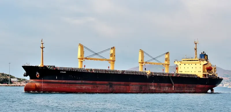 OXANA V Bulk Carrier IMO 9077317 photo 6