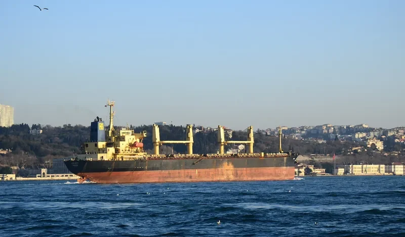 OXANA V Bulk Carrier IMO 9077317 photo 7