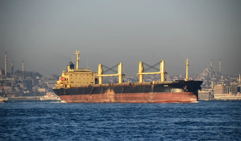 OXANA V Bulk Carrier IMO 9077317 photo 8