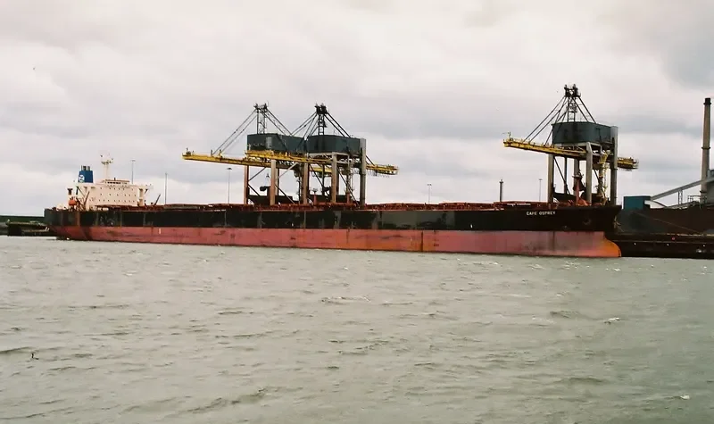CAPE OSPREY Bulk Carrier IMO 9077367