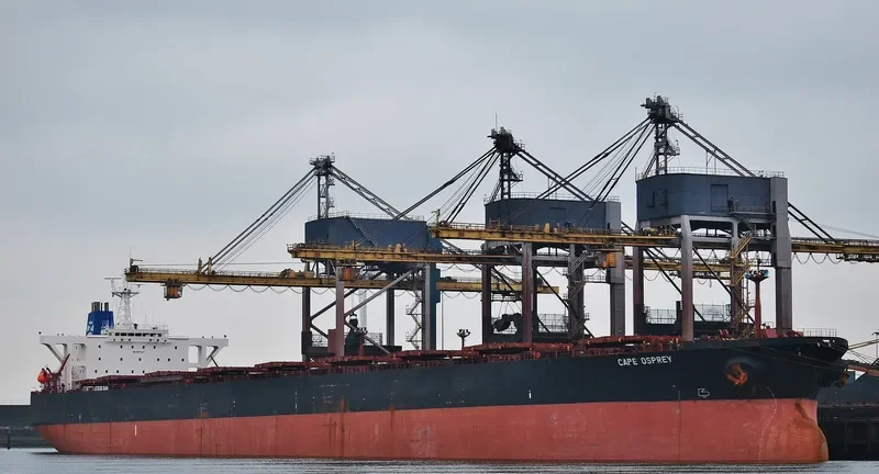 CAPE OSPREY Bulk Carrier IMO 9077367 photo 6