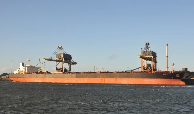 CAPE OSPREY Bulk Carrier IMO 9077367 photo 8