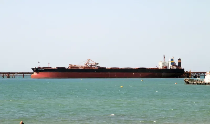 CAPE HAWK Bulk Carrier IMO 9077379