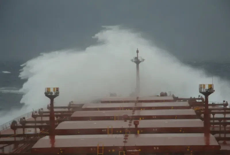 CAPE HAWK Bulk Carrier IMO 9077379 photo 4