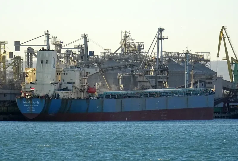 WADI ALARISH Bulk Carrier IMO 9077898