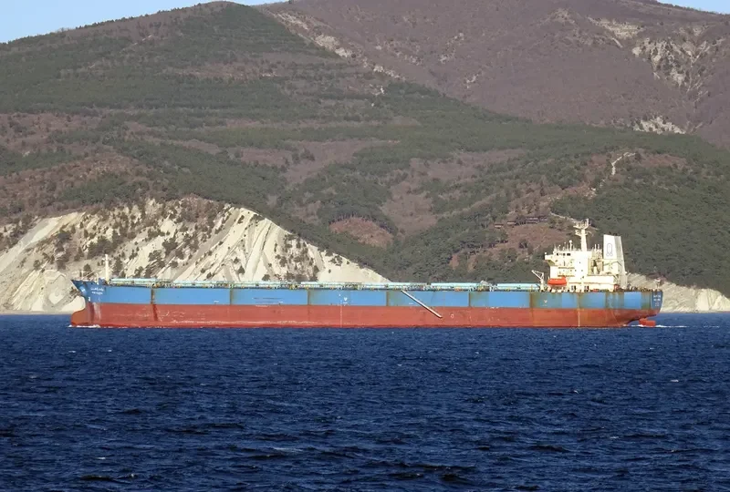 WADI ALARISH Bulk Carrier IMO 9077898 photo 2