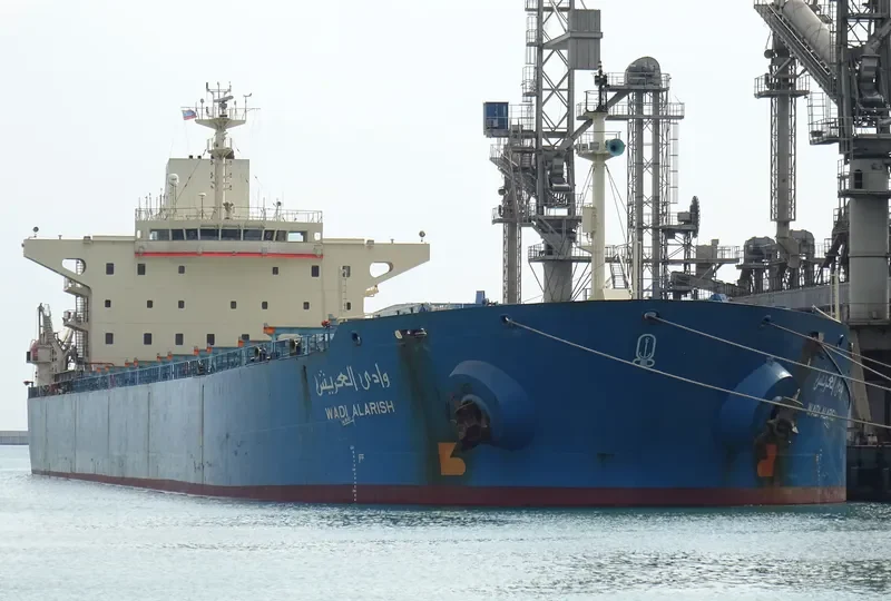 WADI ALARISH Bulk Carrier IMO 9077898 photo 3