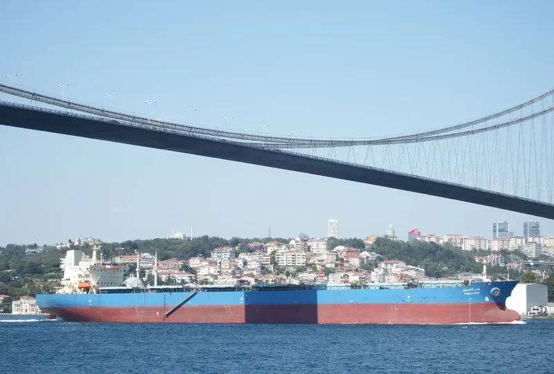 WADI ALARISH Bulk Carrier IMO 9077898 photo 4