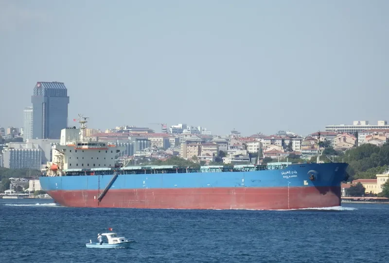 WADI ALARISH Bulk Carrier IMO 9077898 photo 5