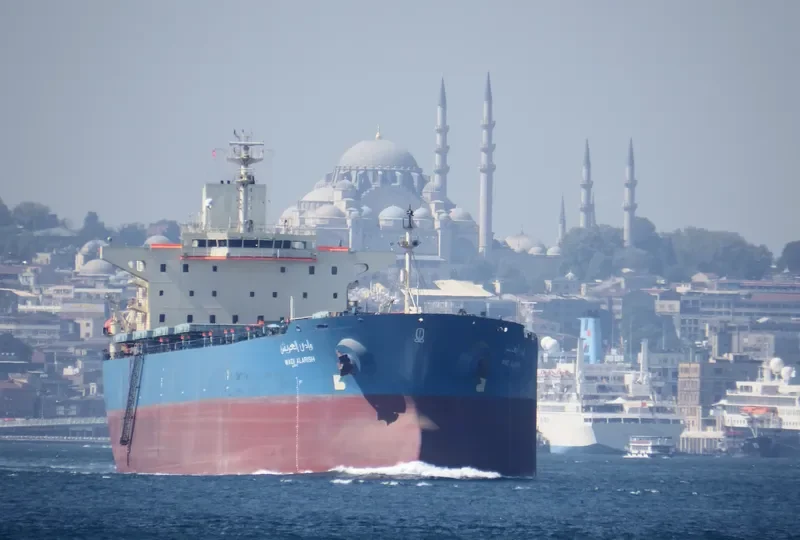 WADI ALARISH Bulk Carrier IMO 9077898 photo 6