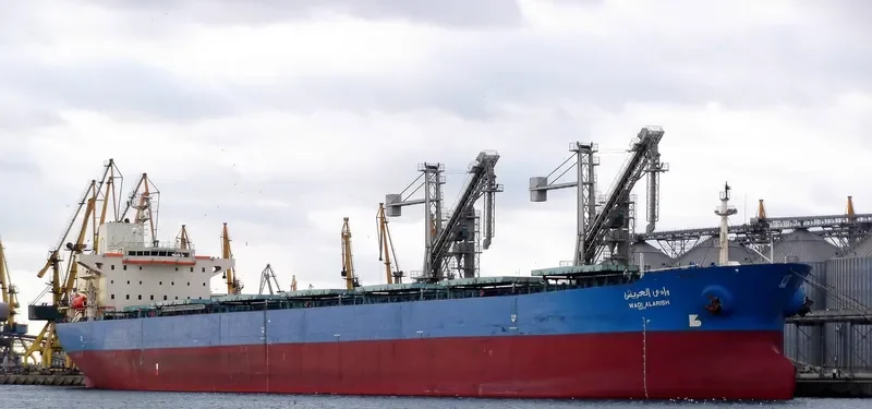 WADI ALARISH Bulk Carrier IMO 9077898 photo 7