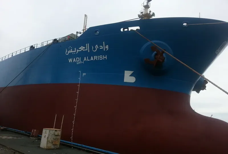 WADI ALARISH Bulk Carrier IMO 9077898 photo 8
