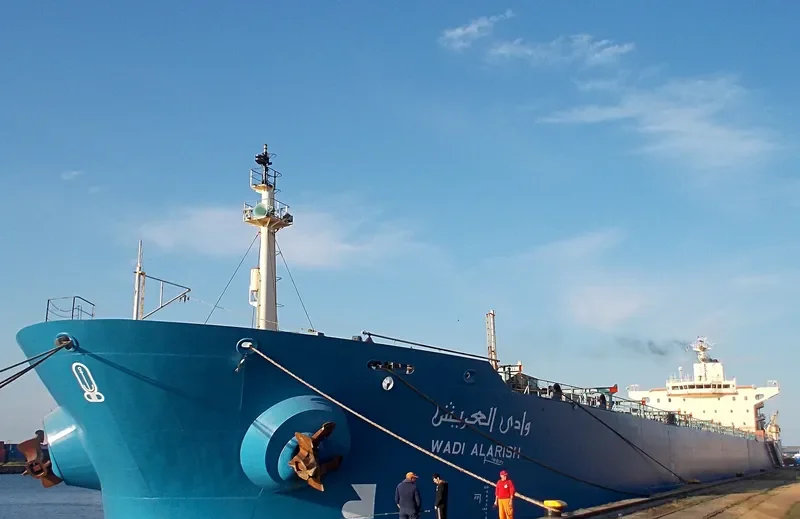 WADI ALARISH Bulk Carrier IMO 9077898 photo 9