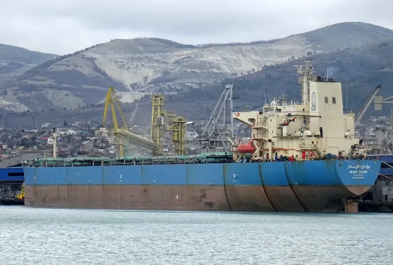 WADI SUDR Bulk Carrier IMO 9077903
