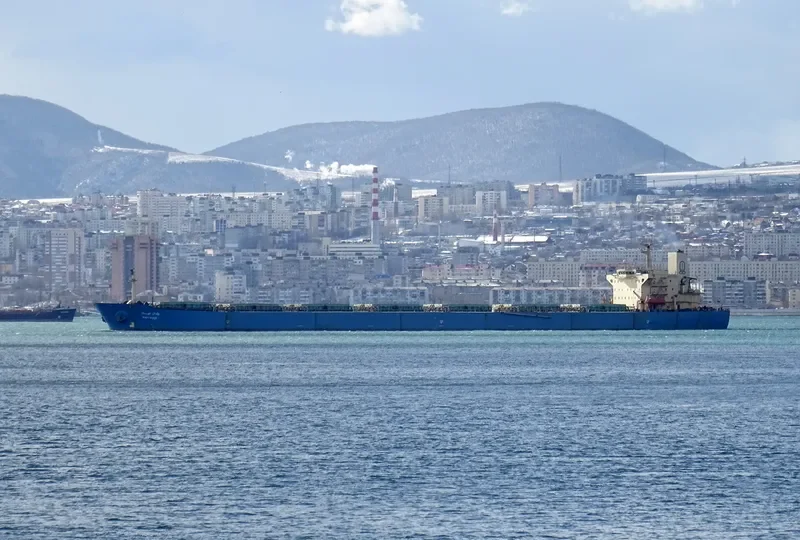 WADI SUDR Bulk Carrier IMO 9077903 photo 2