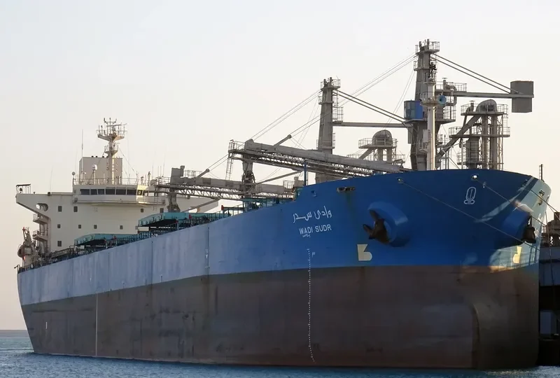 WADI SUDR Bulk Carrier IMO 9077903 photo 3