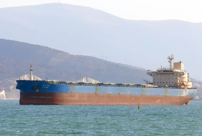 WADI SUDR Bulk Carrier IMO 9077903 photo 4