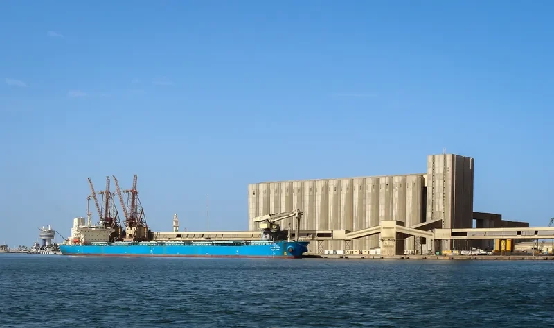WADI SUDR Bulk Carrier IMO 9077903 photo 5