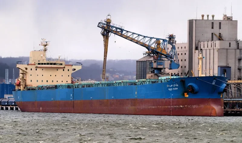 WADI SUDR Bulk Carrier IMO 9077903 photo 6