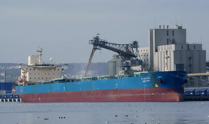 WADI SUDR Bulk Carrier IMO 9077903 photo 7