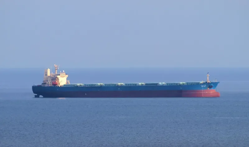 WADI SUDR Bulk Carrier IMO 9077903 photo 8