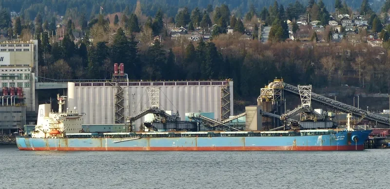 WADI SUDR Bulk Carrier IMO 9077903 photo 10