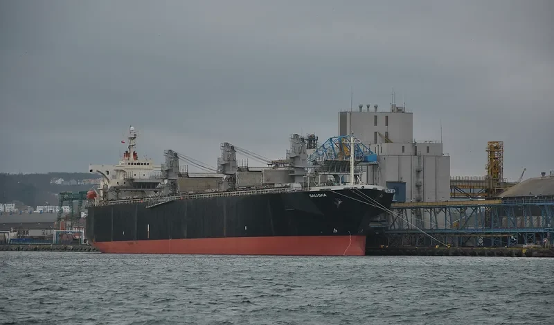 ALIGN General Cargo IMO 9078153 photo 2